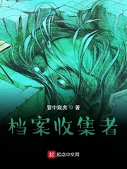 档案收集者