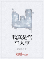 我真是汽车大亨