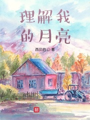 理解我的月亮