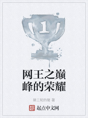 网王之巅峰的荣耀