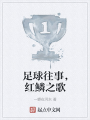 足球往事，红鳞之歌