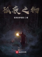 孤夜之物