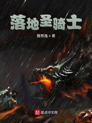 落地圣骑士