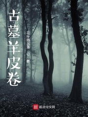 古墓羊皮卷