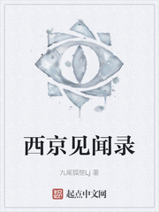 西京见闻录