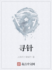 寻针