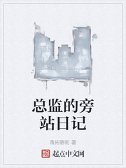 总监的旁站日记