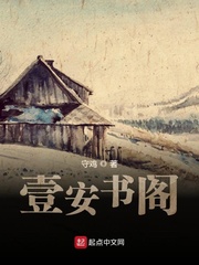 壹安书阁