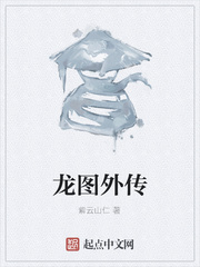 龙图外传