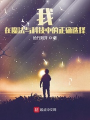 我，在魔法与科技中的正确选择！