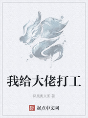 我给大佬打工