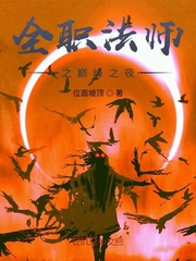 全职法师之巅峰之夜
