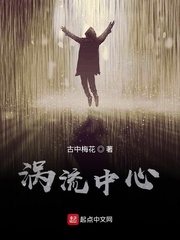涡流中心