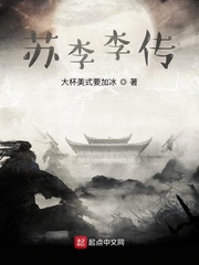 苏李李传