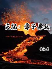 灾祸：零子暴乱