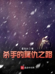 杀手的复仇之路