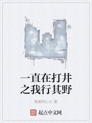 一直在打井之我行其野