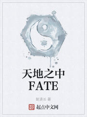 天地之中FATE