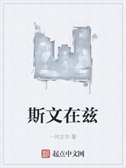 斯文在兹