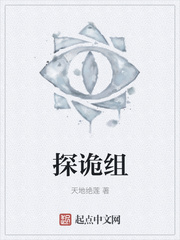 探诡组