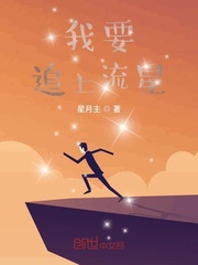 我要追上流星