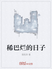 稀巴烂的日子