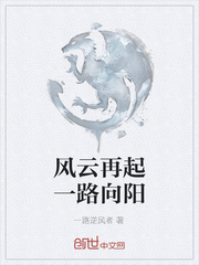 风云再起一路向阳