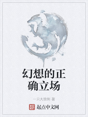 幻想的正确立场