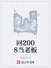 回2008当老板