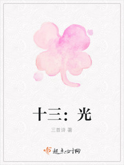 十三：光