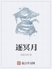 逐冥月