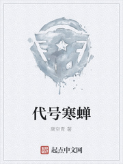 代号寒蝉