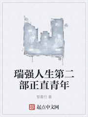 瑞强人生第二部正直青年