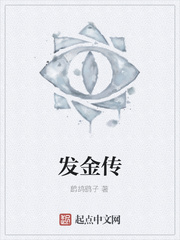 发金传