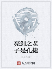 亮剑之老子是孔捷