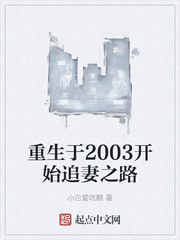 重生于2003开始追妻之路