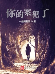 你的案犯了