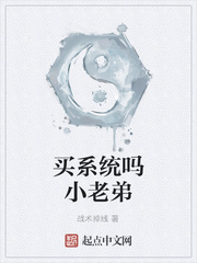 买系统吗小老弟