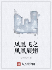 凤凰飞之凤凰展翅