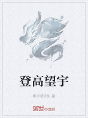 登高望宇