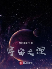 宇宙之湮