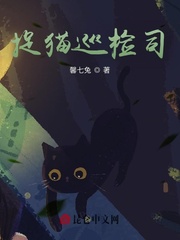 捉猫巡检司