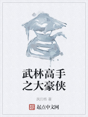 武林高手之大豪侠