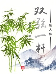 双弦一杆佳人伴