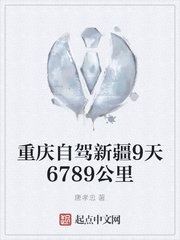重庆自驾新疆9天6789公里