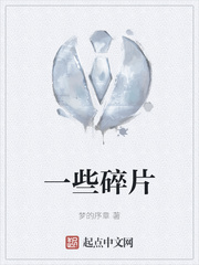 一些碎片
