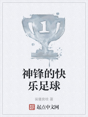 神锋的快乐足球