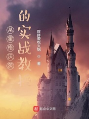 某霍格沃茨的实战教授