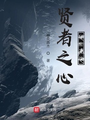 贤者之心：秘密圣战