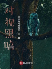 对视黑暗